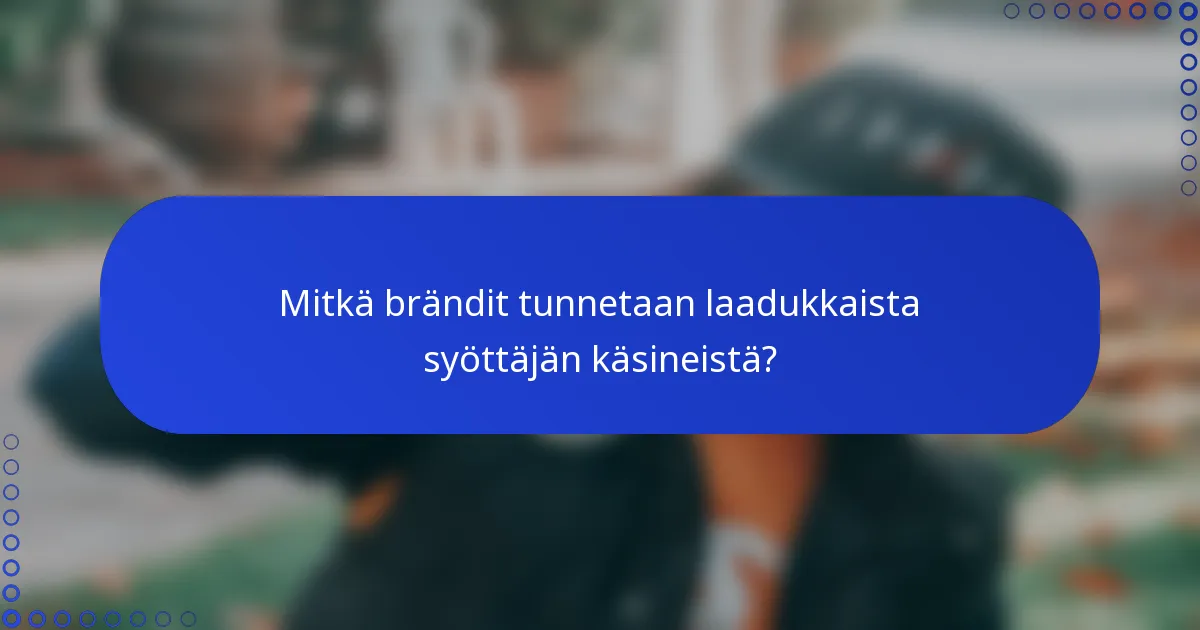 Mitkä brändit tunnetaan laadukkaista syöttäjän käsineistä?